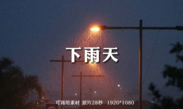下雨的视频,捕捉自然旋律的瞬间